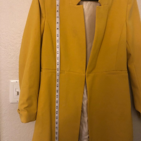 Zara Coat - Picture 3 of 3